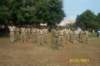 stindipendenceday001_small.jpg
