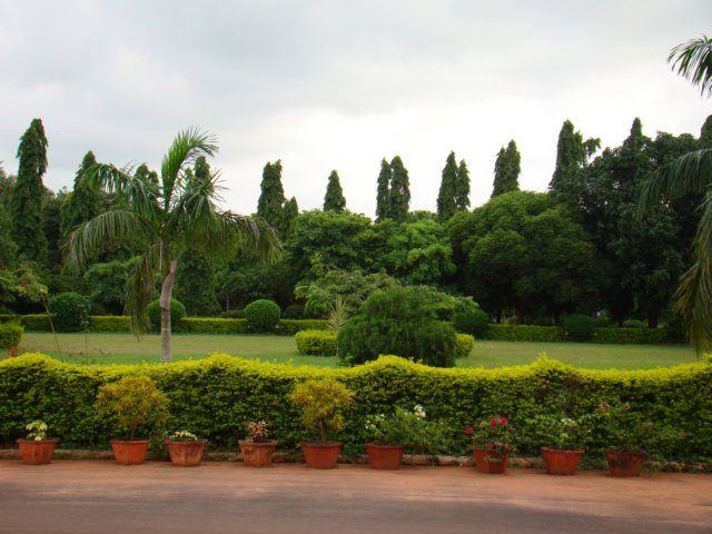 dsc03190.jpg