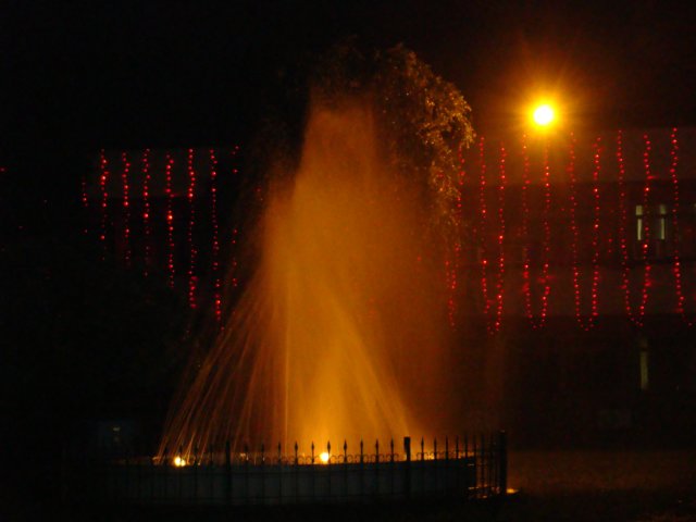 dsc03349.jpg