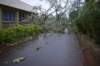 dsc_0098_small.jpg