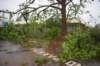 dsc_0099_small.jpg