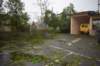 dsc_0100_small.jpg