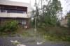 dsc_0101_small.jpg