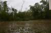dsc_0102_small.jpg