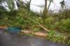 dsc_0104_small.jpg