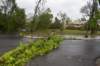 dsc_0111_small.jpg