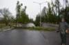 dsc_0114_small.jpg
