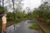 dsc_0115_small.jpg