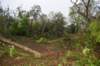 dsc_0117_small.jpg