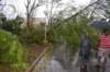 dsc_0118_small.jpg