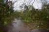 dsc_0119_small.jpg