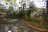 dsc_0120_small.jpg