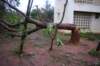 dsc_0121_small.jpg