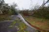 dsc_0123_small.jpg