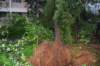dsc_0125_small.jpg