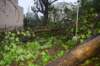 dsc_0126_small.jpg