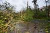 dsc_0127_small.jpg