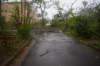 dsc_0137_small.jpg