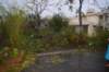 dsc_0144_small.jpg