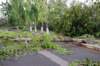 dsc_0147_small.jpg