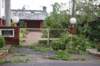 dsc_0150_small.jpg