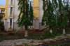 dsc_0153_small.jpg