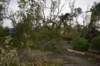 dsc_0155_small.jpg