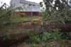 dsc_0158_small.jpg