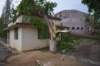 dsc_0160_small.jpg