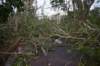 dsc_0163_small.jpg