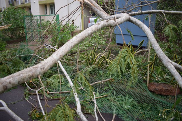 dsc_0165.jpg