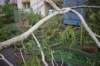 dsc_0165_small.jpg
