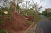 dsc_0168_small.jpg