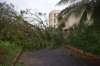 dsc_0169_small.jpg