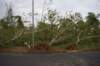 dsc_0172_small.jpg