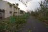 dsc_0173_small.jpg