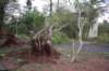 dsc_0174_small.jpg