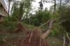 dsc_0175_small.jpg