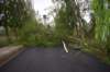 dsc_0179_small.jpg