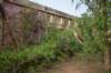 dsc_0194_small.jpg