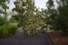 dsc_0195_small.jpg
