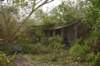 dsc_0199_small.jpg