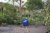 dsc_0201_small.jpg
