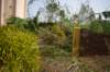 dsc_0214_small.jpg