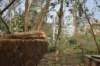 dsc_0221_small.jpg