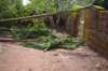 dsc_0222_small.jpg