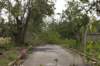 dsc_0224_small.jpg