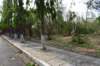dsc_0255_small.jpg