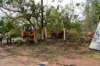 dsc_0256_small.jpg