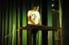 dsc06310_small.jpg